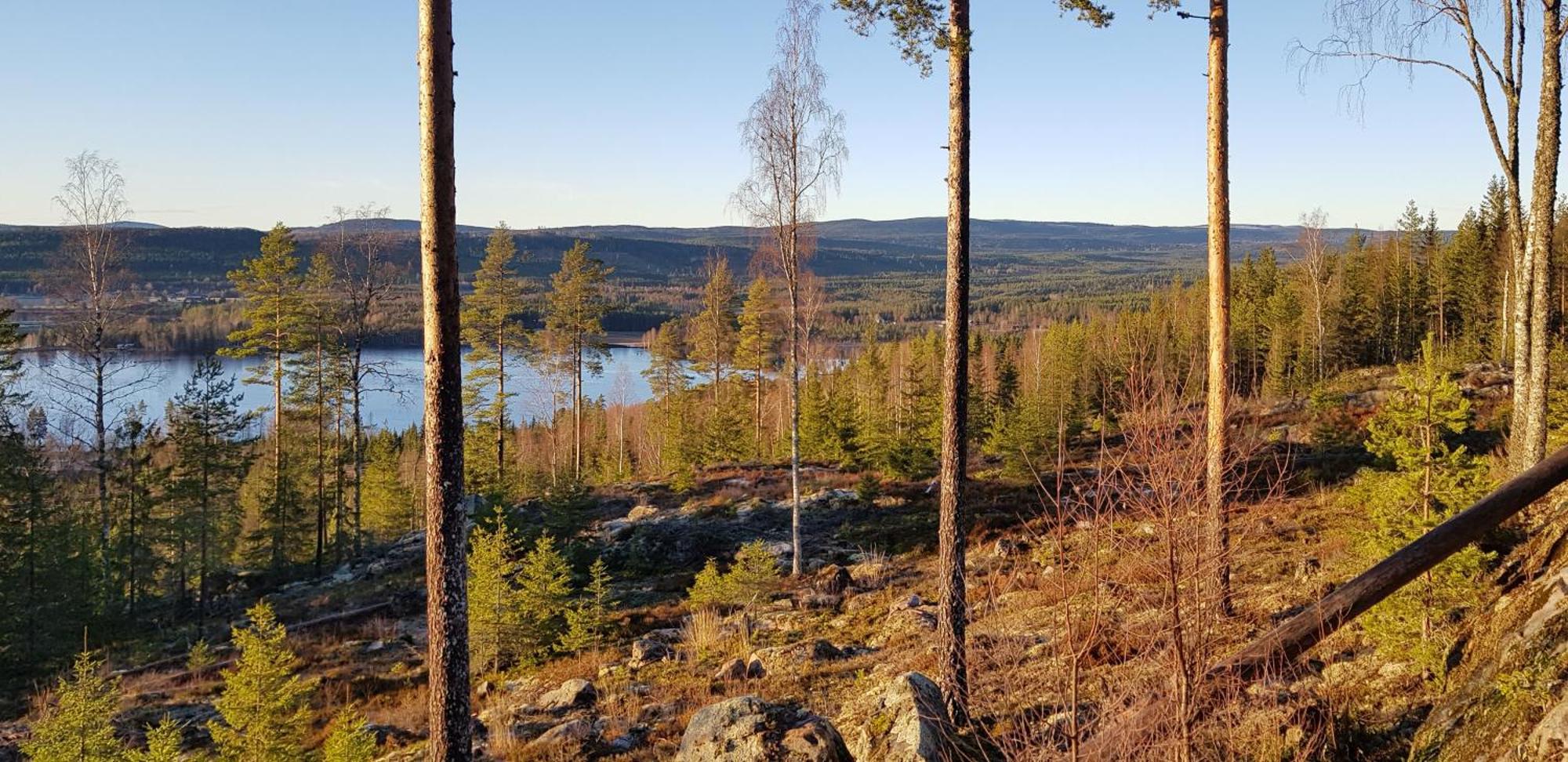 Hus Klaraelven *